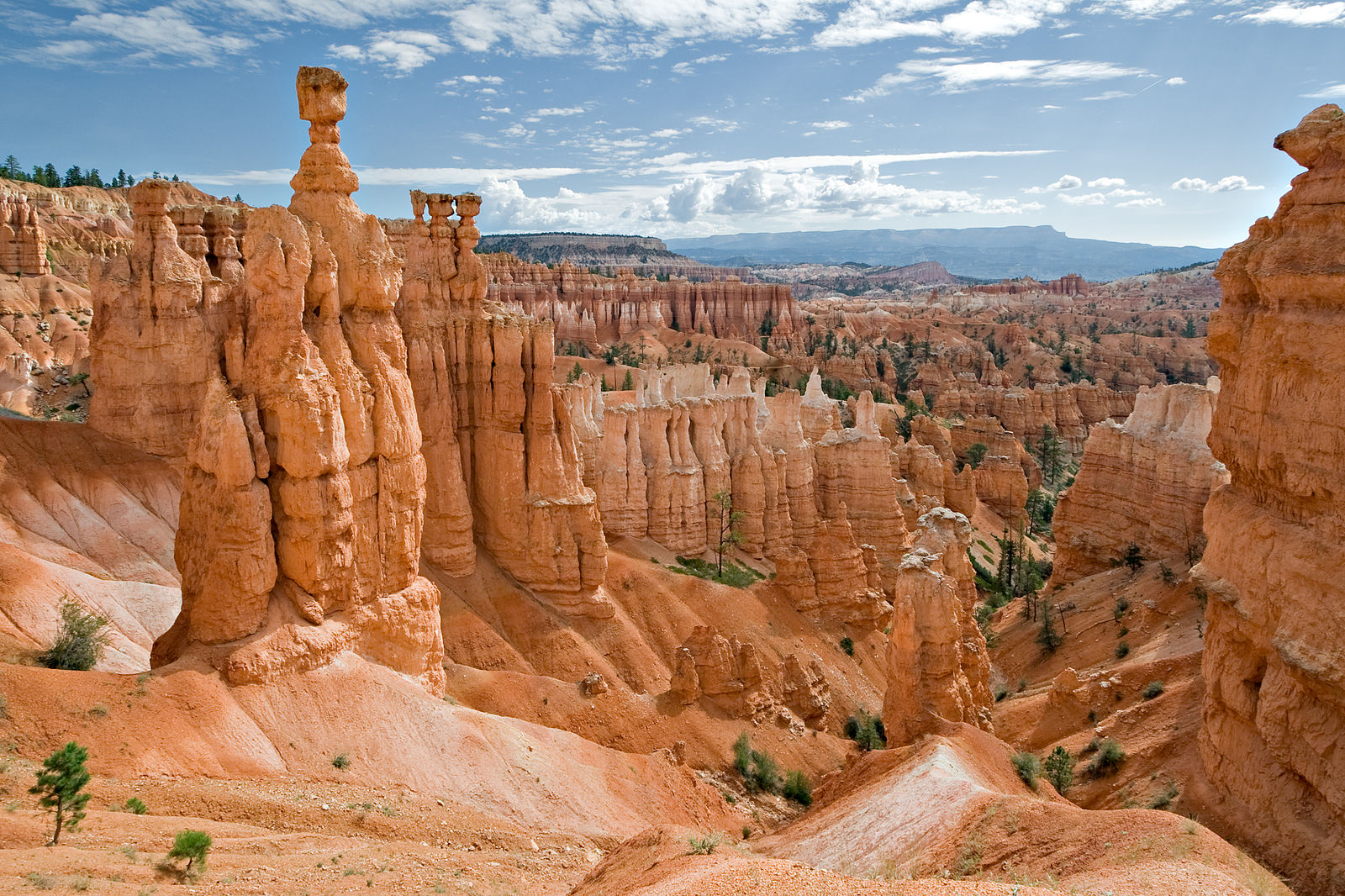 Bryce